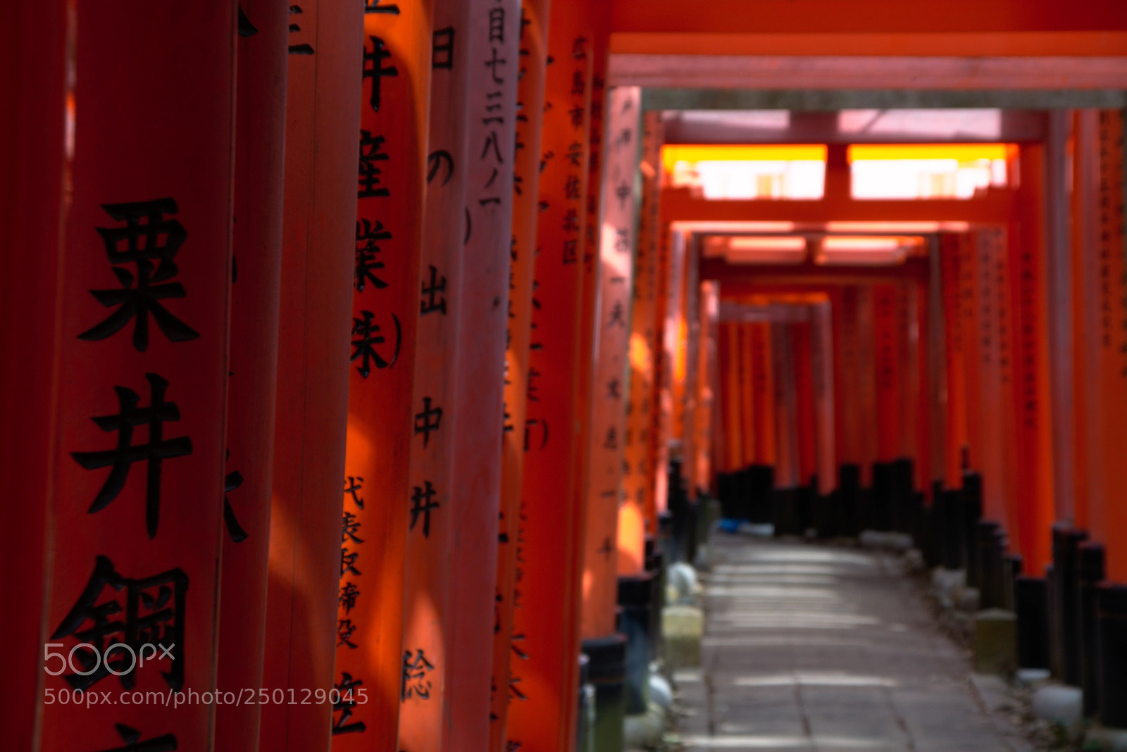 Nikon D3400 sample photo. Doors of meanings photography