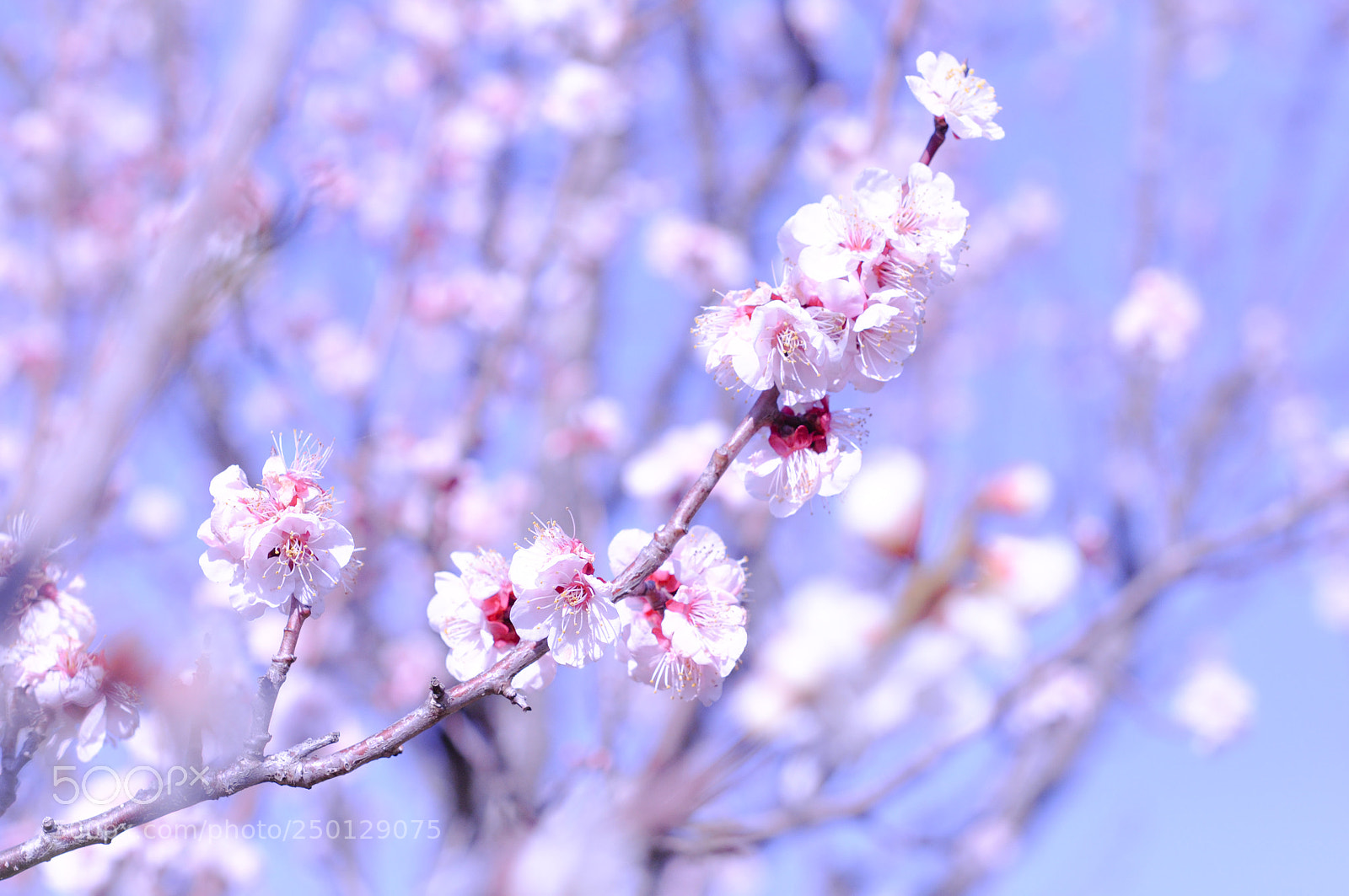 Nikon D90 sample photo. Untitled photography