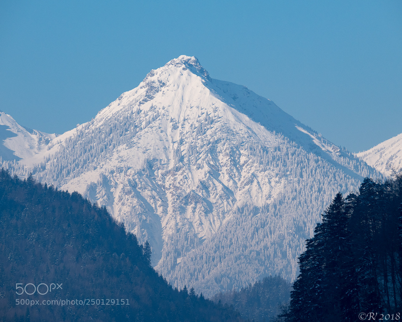 Olympus OM-D E-M1 Mark II sample photo. Vilser kegel photography