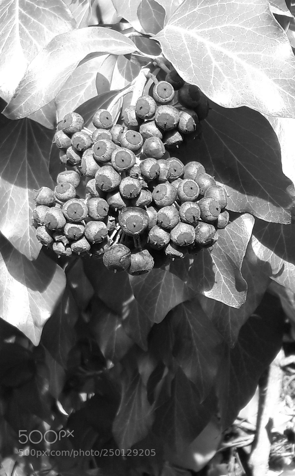 Samsung Galaxy A5(2016) sample photo. Untitled photography