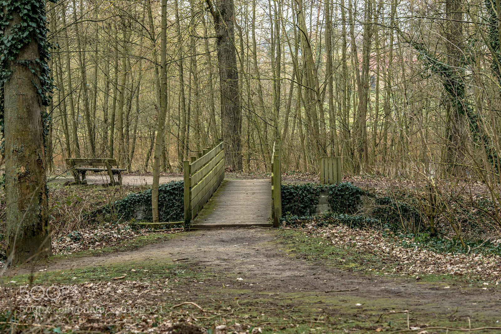 Nikon D800 sample photo. Saint laurent blangy.france. photography