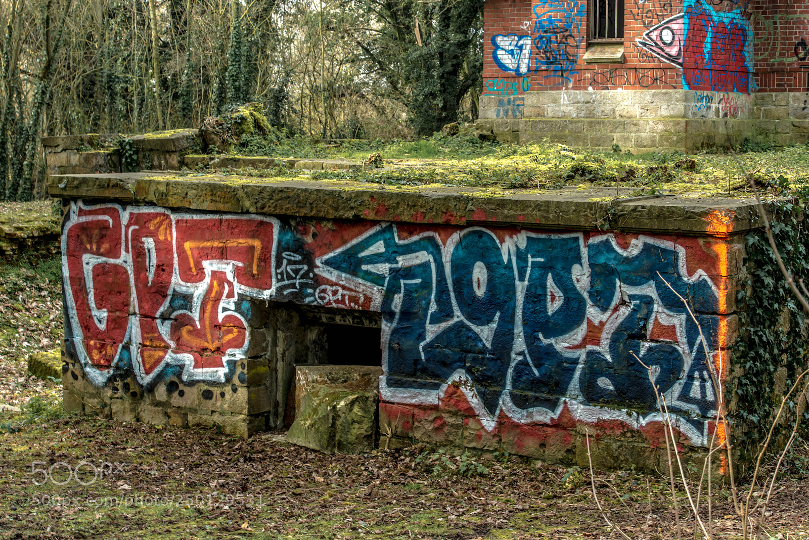 Nikon D800 sample photo. Saint laurent blangy.france. photography
