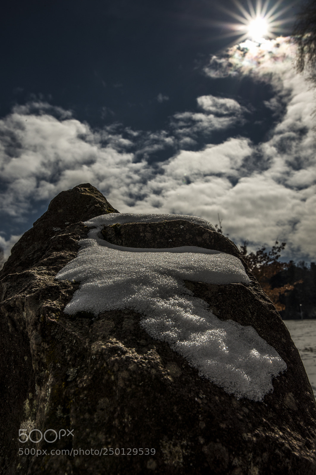 Nikon D800 sample photo. E q u i photography