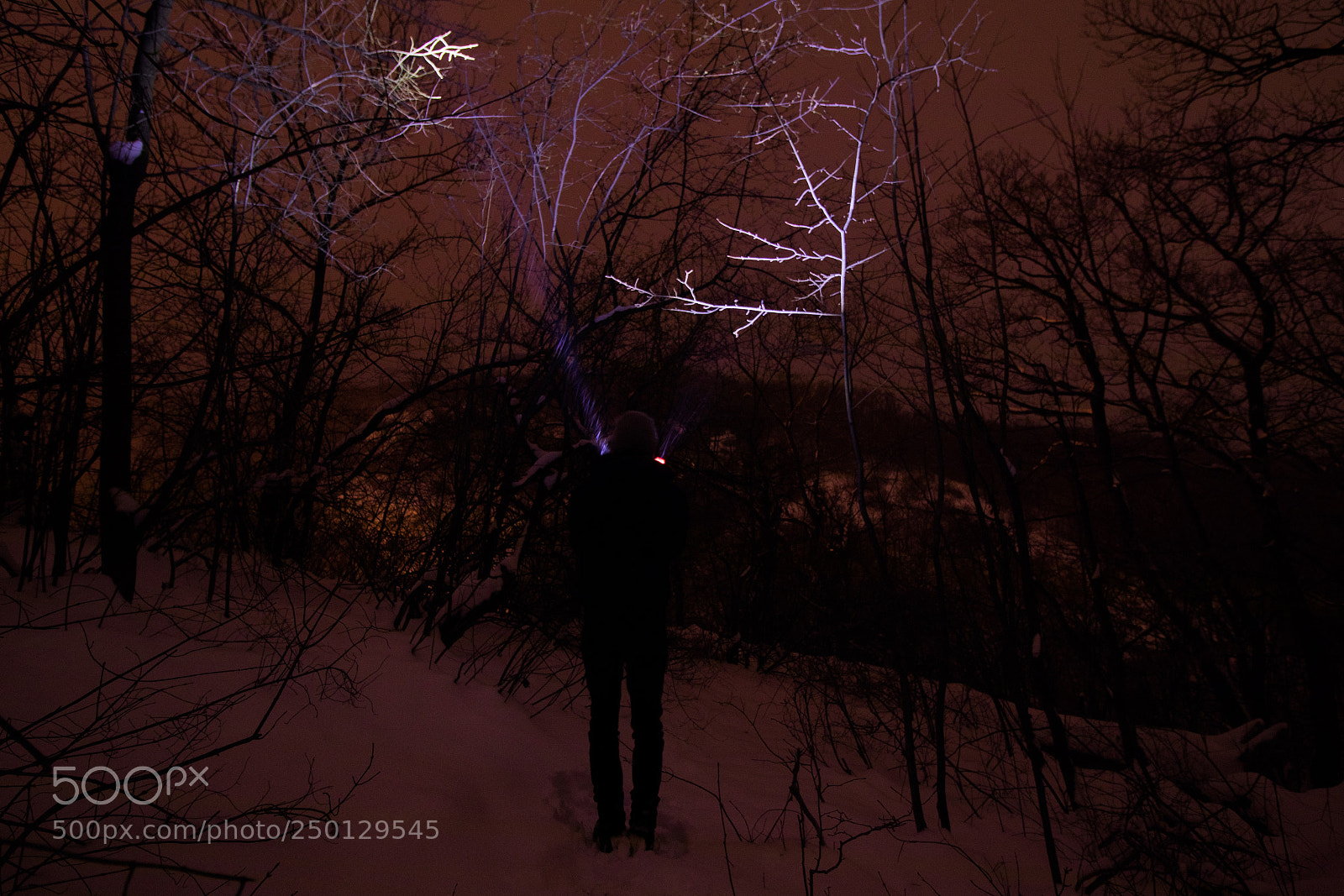 Canon EOS 80D sample photo. Purple lights #2 photography