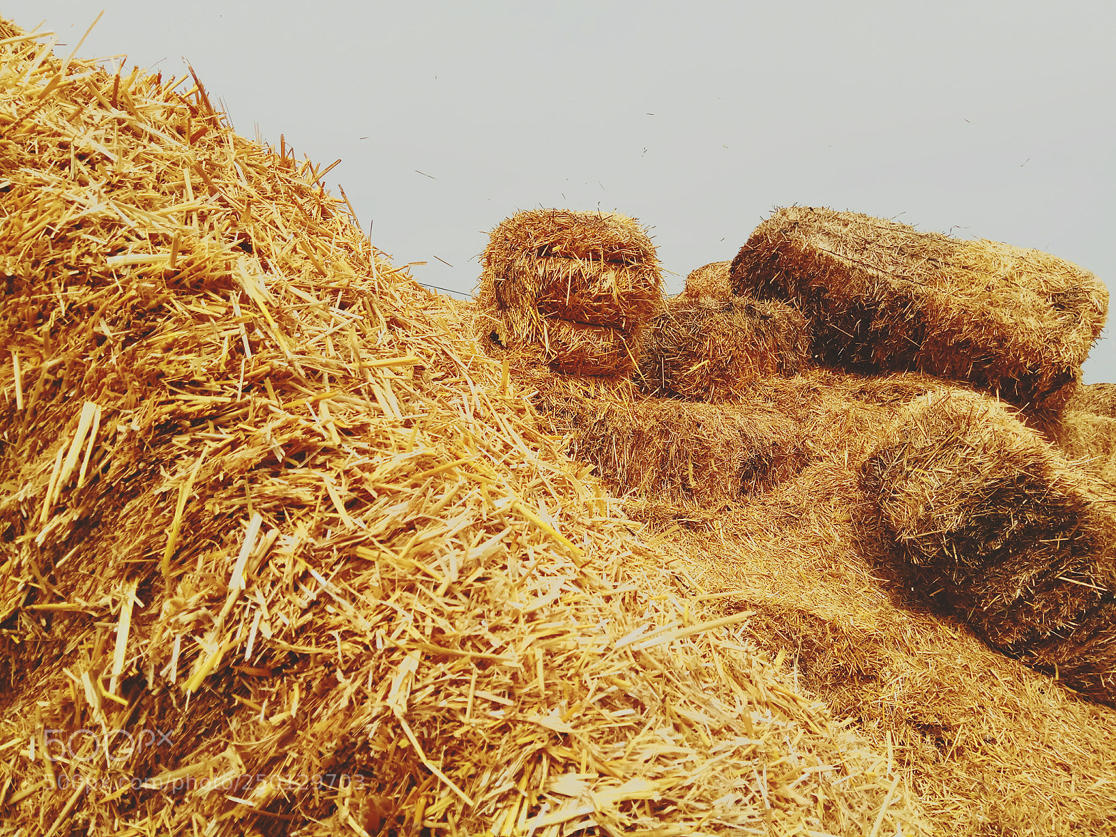 Xiaomi Redmi Note 4 sample photo. Straw bale photography
