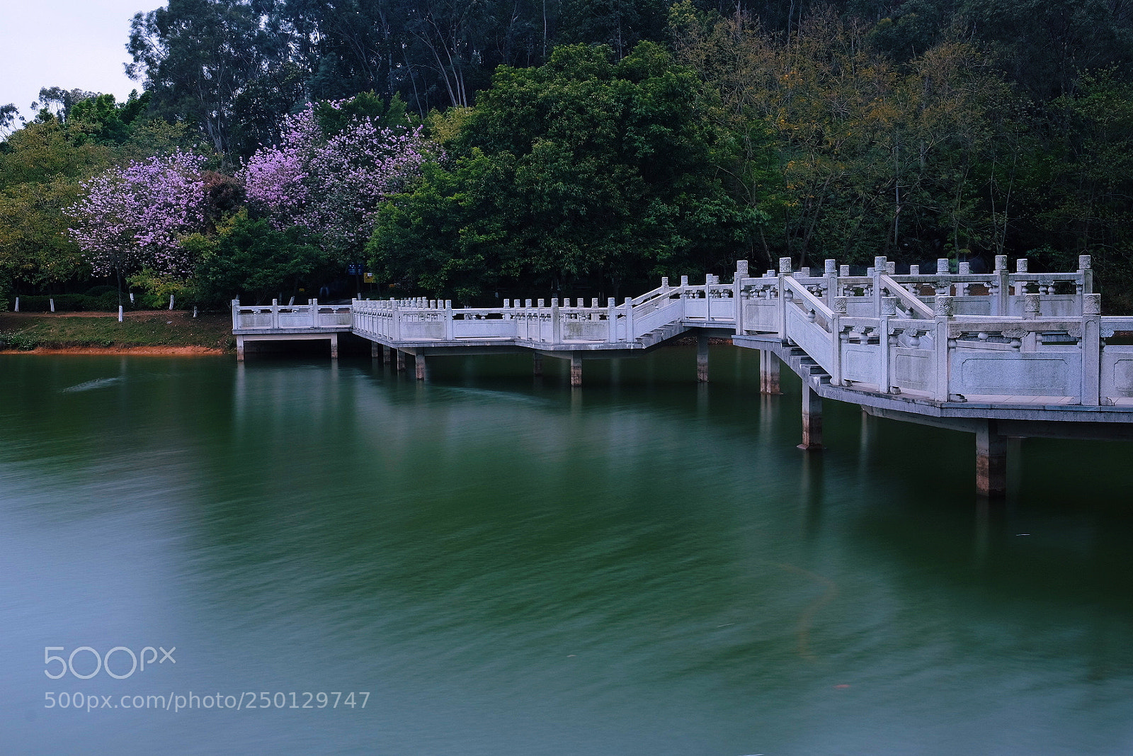 Fujifilm X-T1 sample photo. 映翠湖2 photography