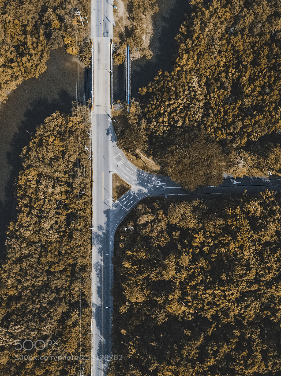 DJI FC220 sample photo. Drone view of the photography