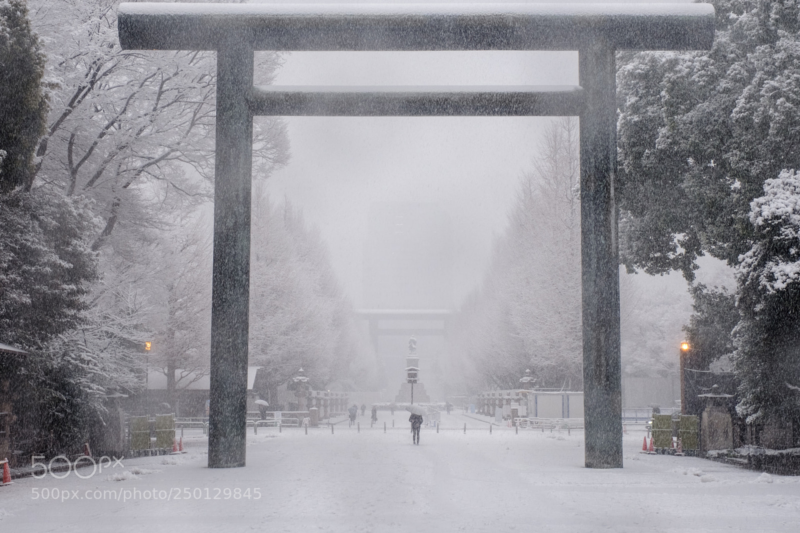 Fujifilm X-Pro2 sample photo. A memory of winter photography