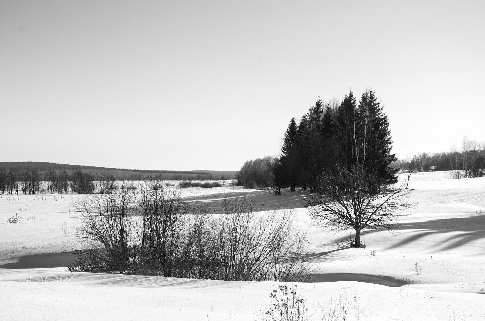 Nikon D7000 sample photo. Сold spring photography