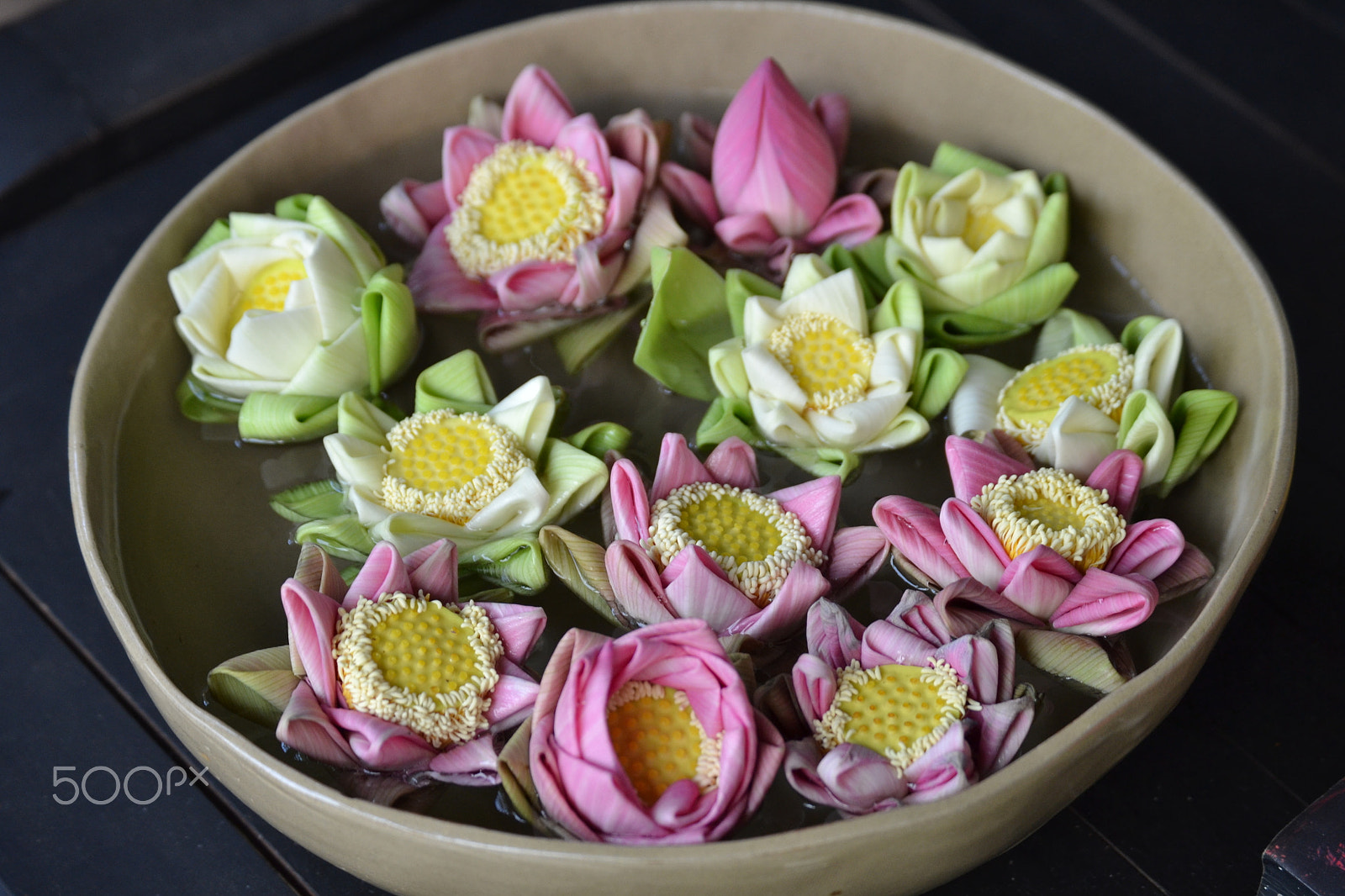 Nikon D3100 sample photo. Lotus photography