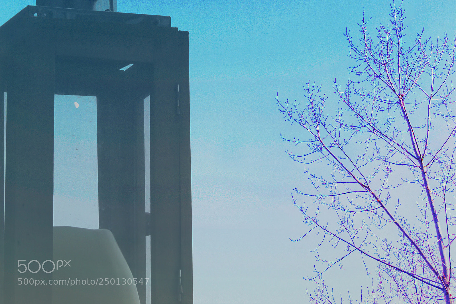 Canon EOS 600D (Rebel EOS T3i / EOS Kiss X5) sample photo. A tree is free photography