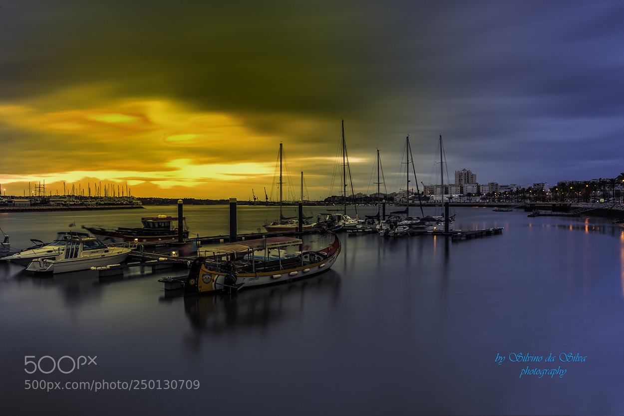 Nikon D610 sample photo. Sunrise in the dock photography