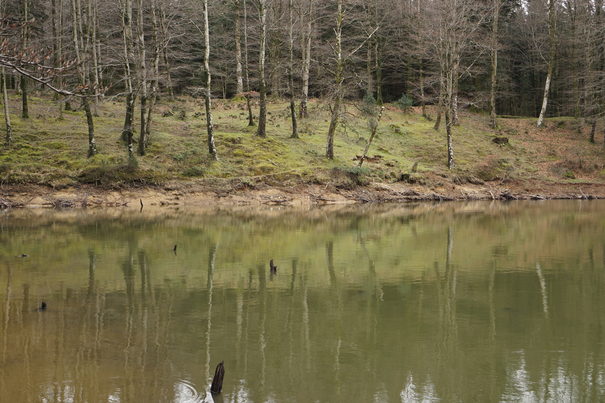 Sony a6000 + Sony E 35mm F1.8 OSS sample photo. Reflections part.3 photography