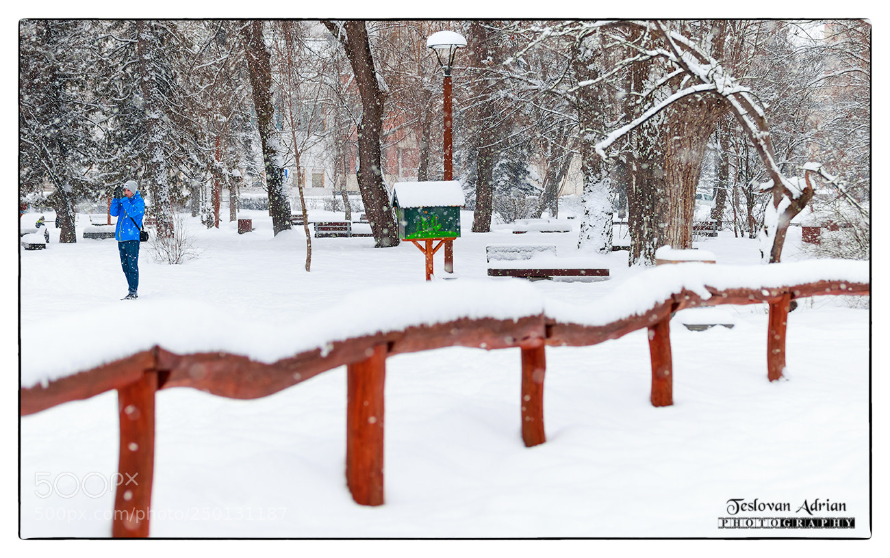 Canon EOS 7D Mark II sample photo. Frozen in time ! photography