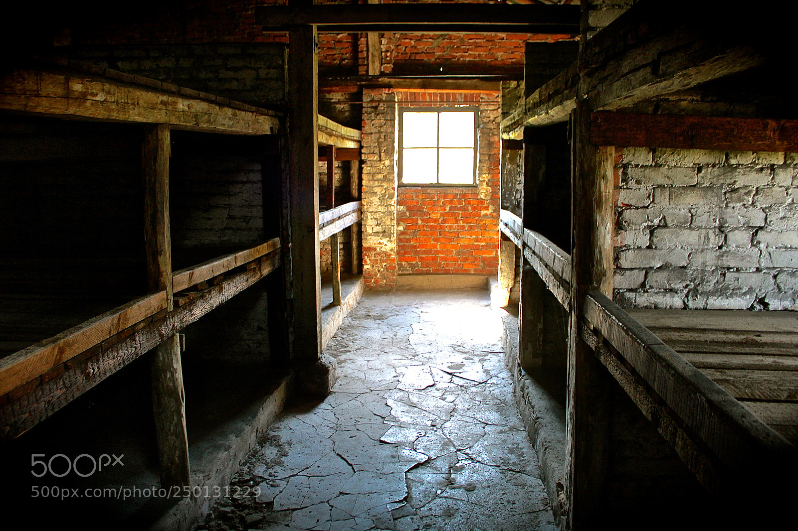 Canon EOS 500D (EOS Rebel T1i / EOS Kiss X3) sample photo. Auschwitz, poland photography