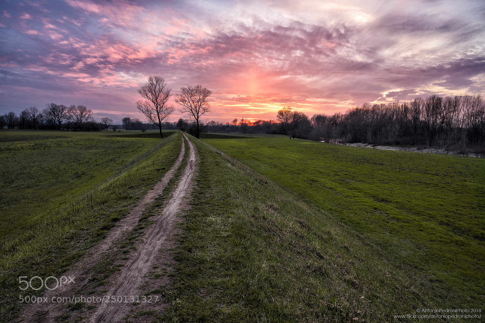 Sony a7 II sample photo. A walk in the photography
