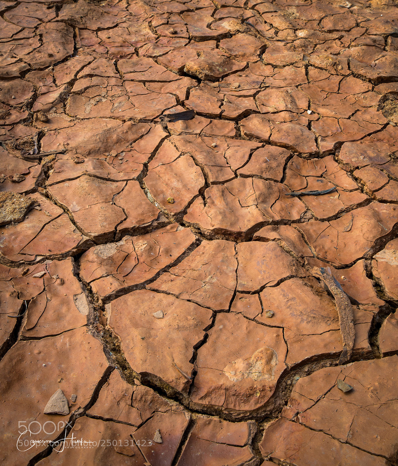 Nikon D850 sample photo. Scorched earth photography