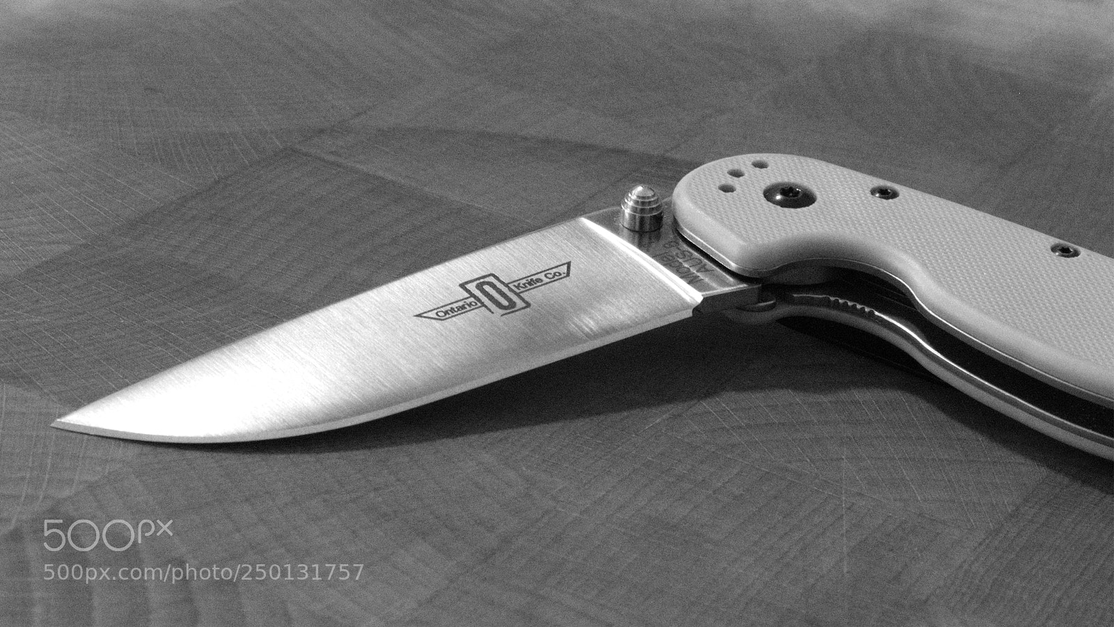 Nikon D5300 sample photo. Rat 1 photography