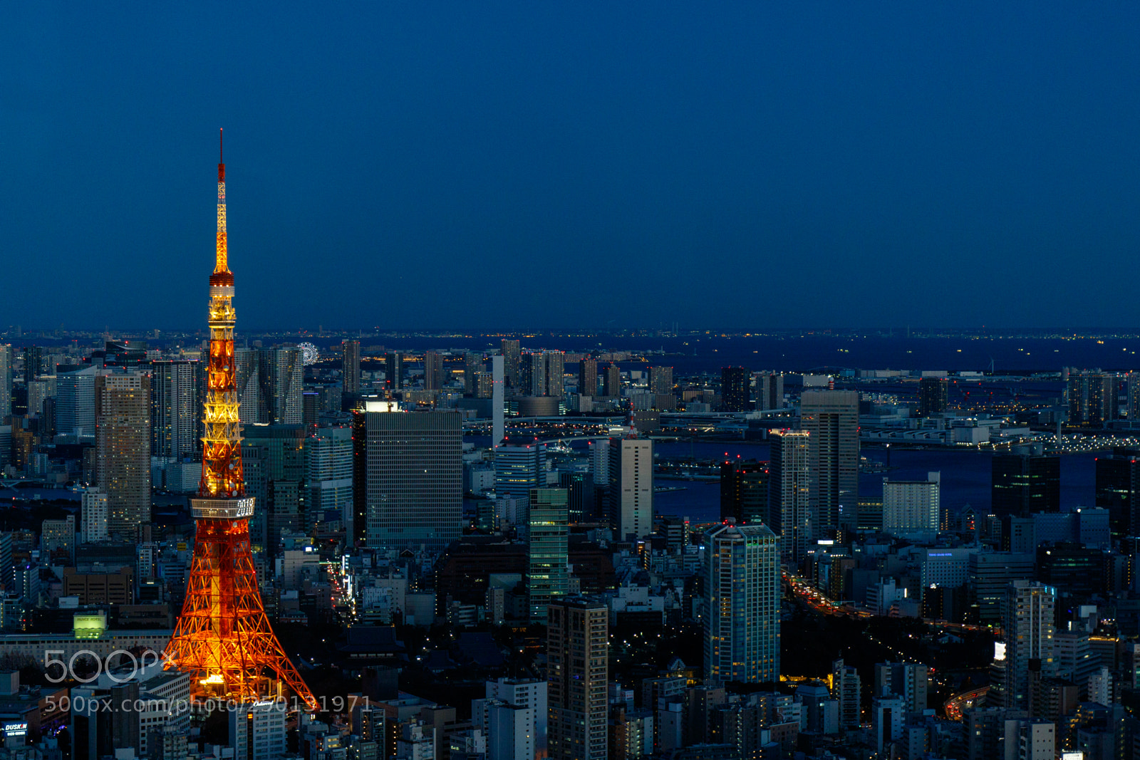 Canon EOS 7D Mark II sample photo. The illuminated tokyo tower photography