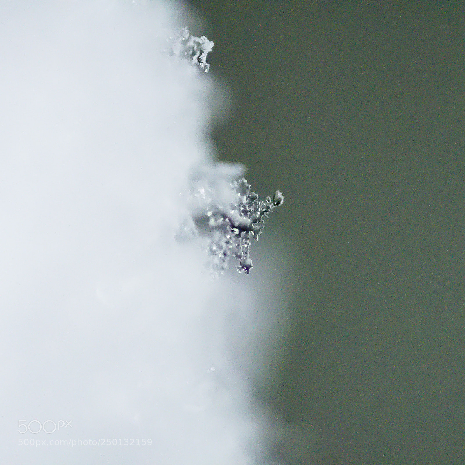 Nikon D500 sample photo. The melting flake photography