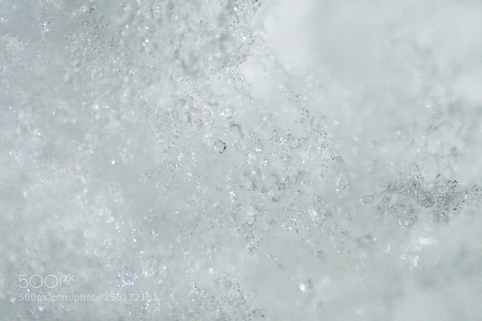 Nikon D500 sample photo. In the frozen crystals photography