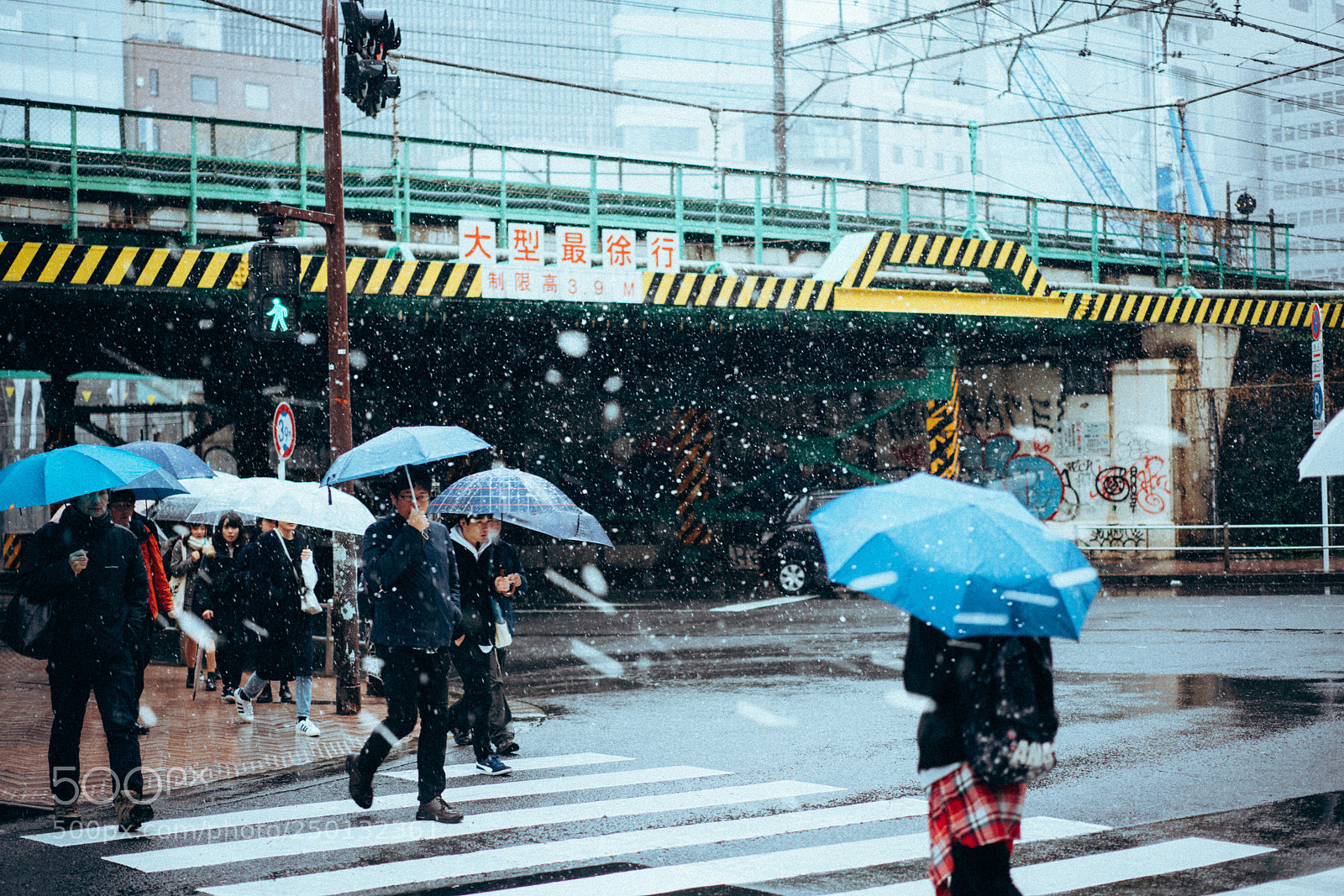 Sony a7R III sample photo. Shibuya in snow photography