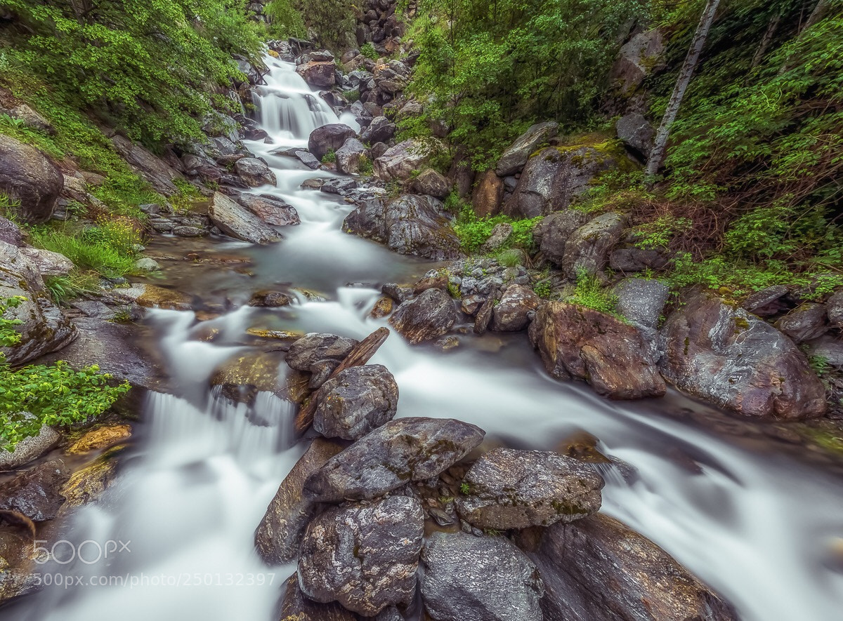 Canon EOS 5D Mark IV sample photo. A mountain stream photography
