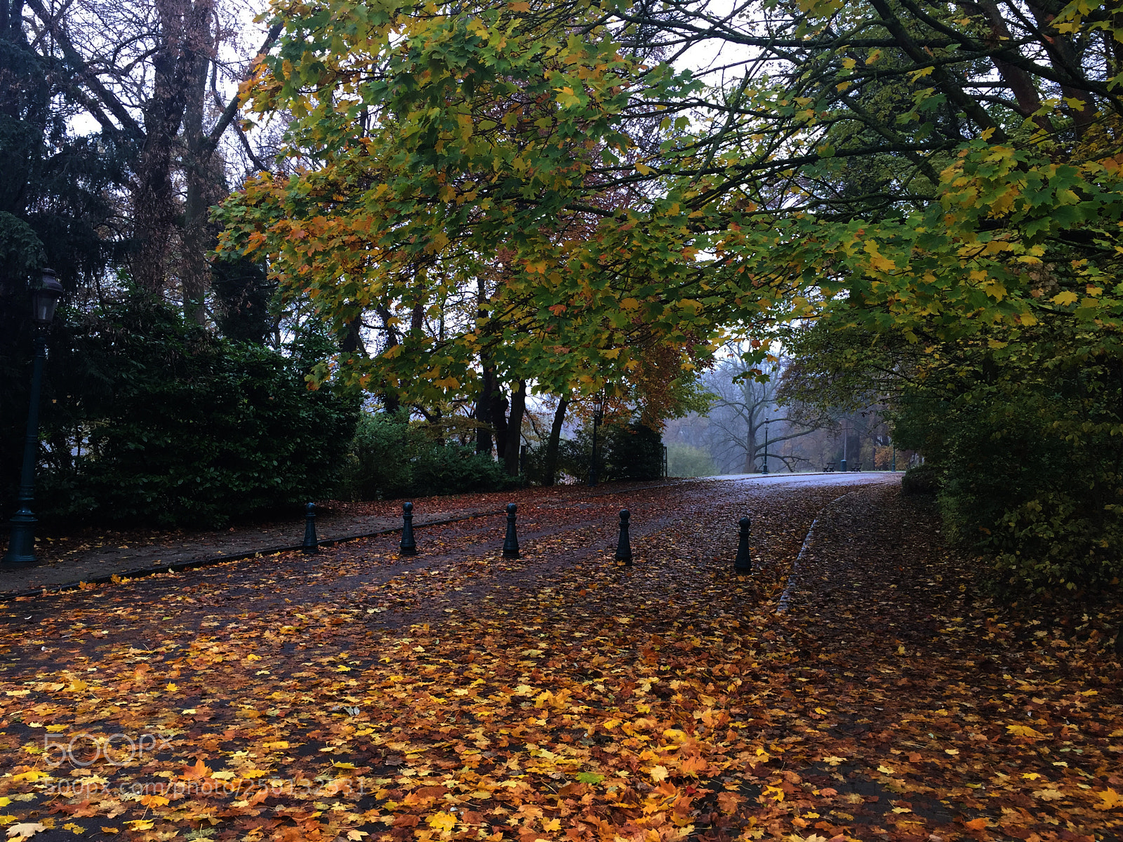 Apple iPhone 6 Plus sample photo. Untitled photography