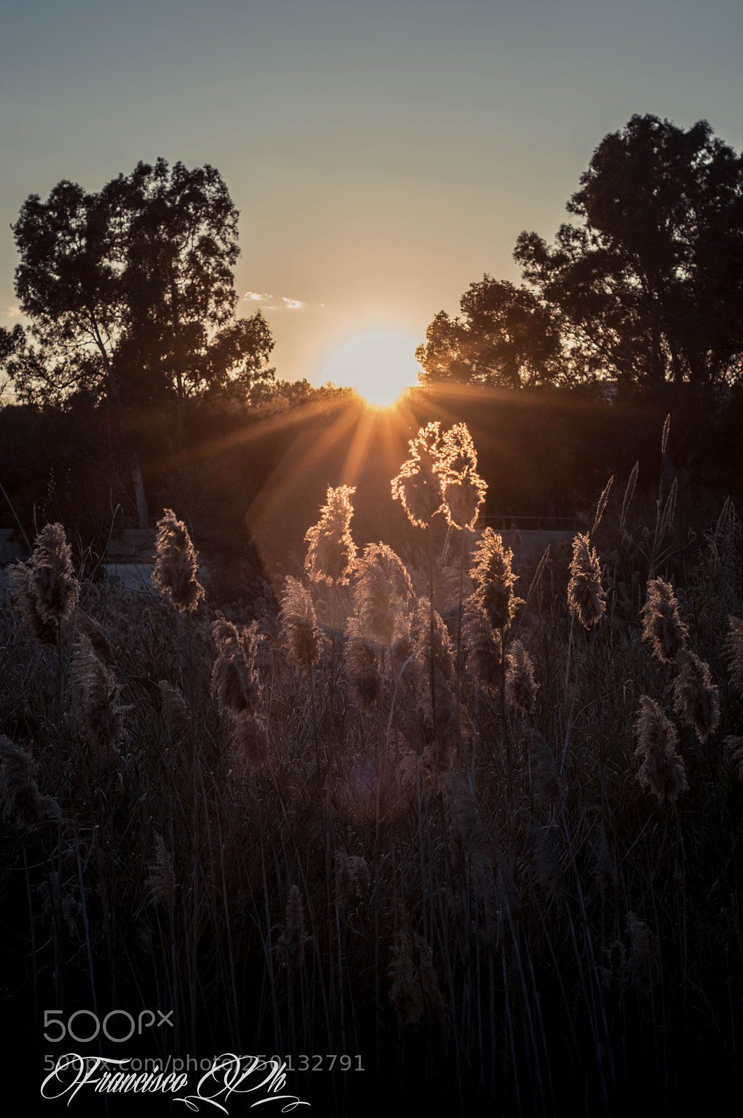 Nikon D3200 sample photo. Untitled photography