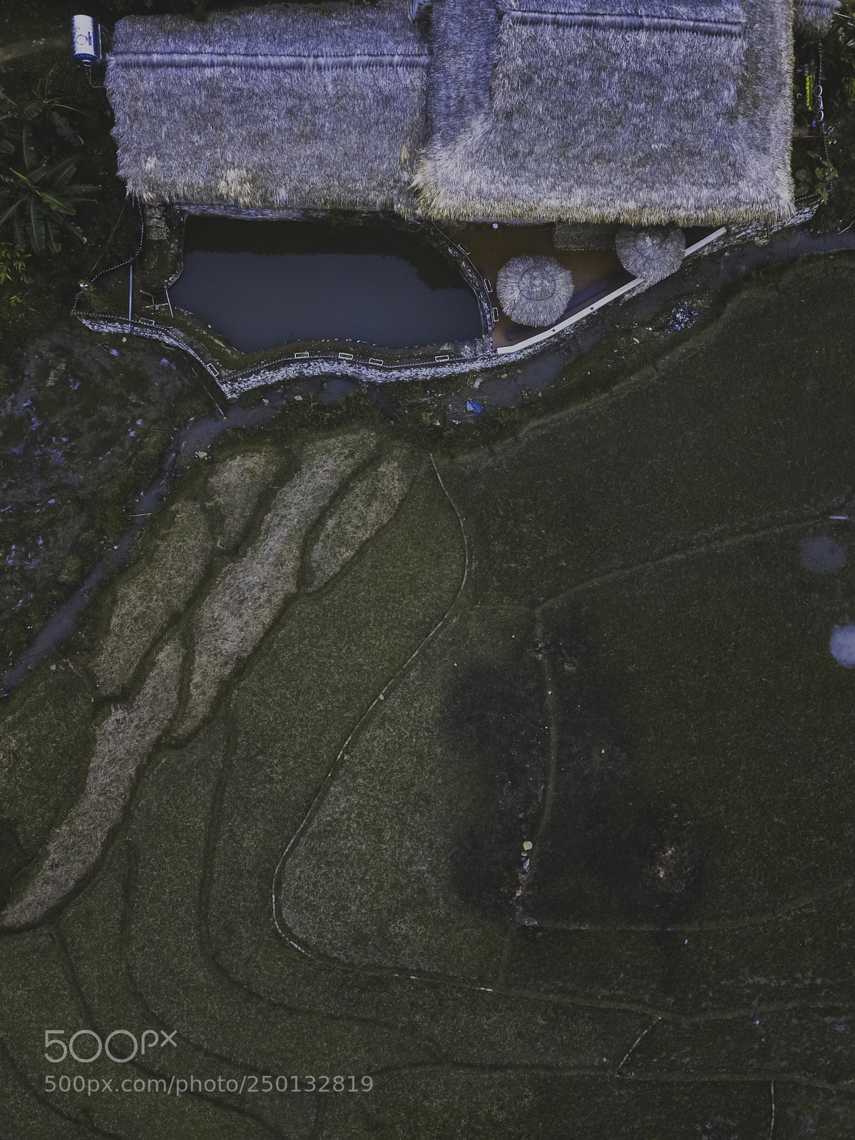 DJI FC220 sample photo. Drone view of rice photography