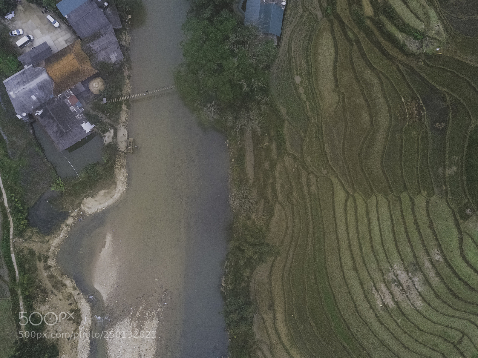 DJI FC220 sample photo. Drone view of rice photography