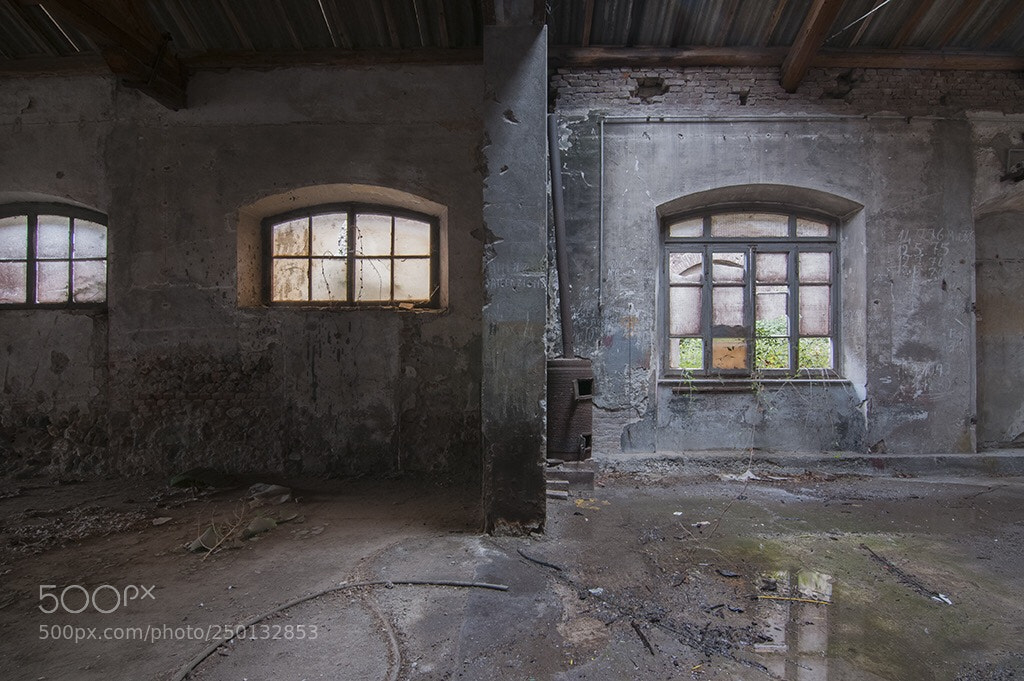 Nikon D300S sample photo. Rivoluzione industriale  photography