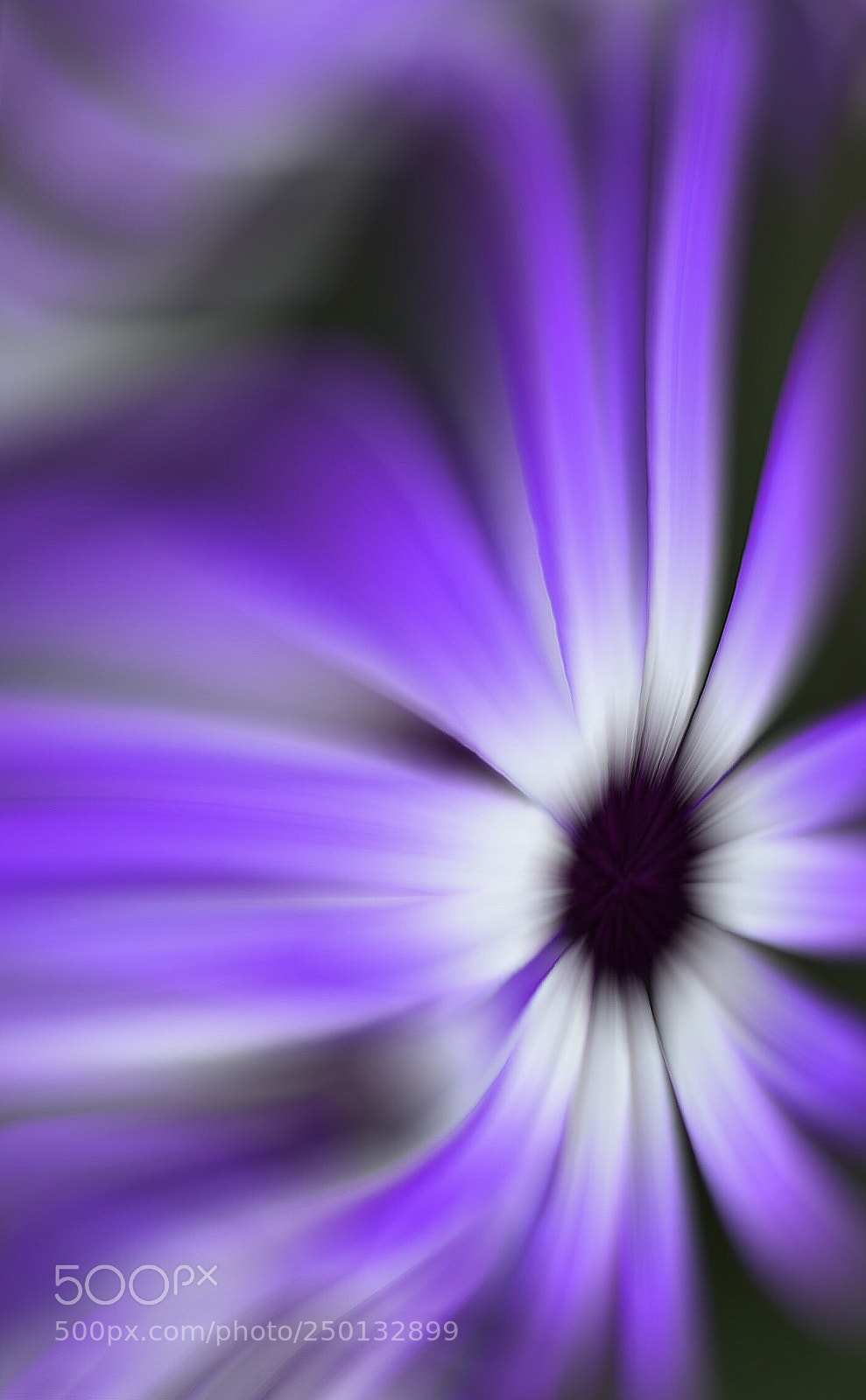 Nikon D7000 sample photo. The wind  photography