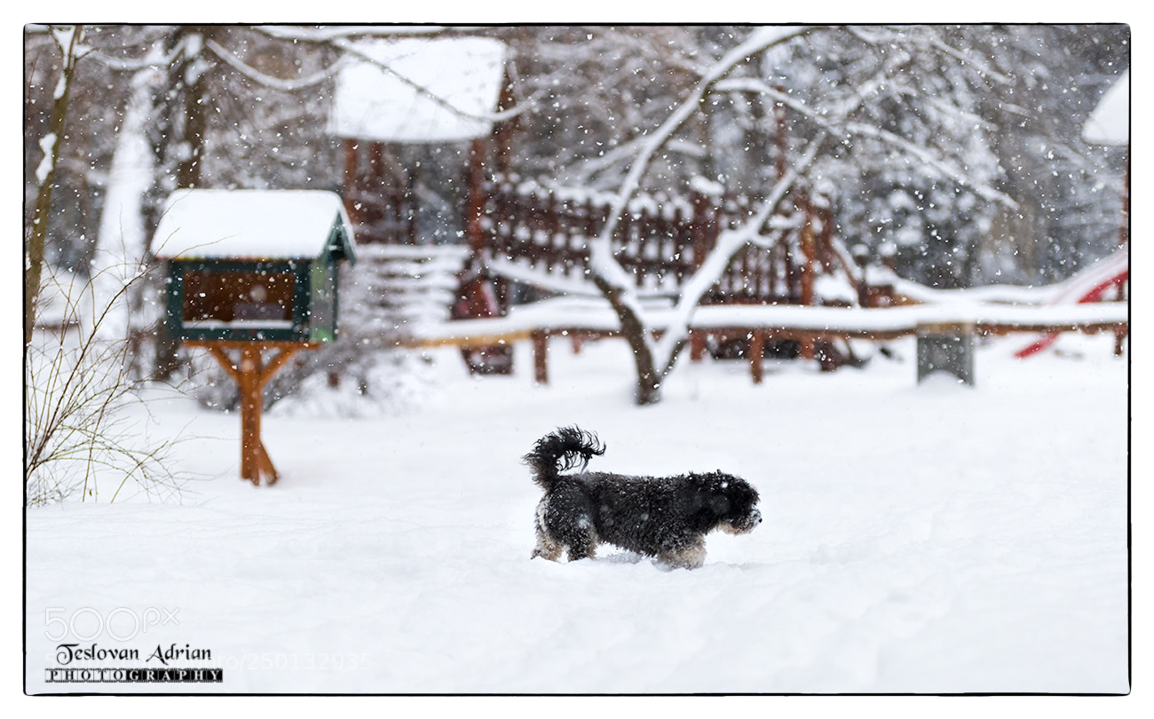 Canon EOS 7D Mark II sample photo. Bushwalker ! photography