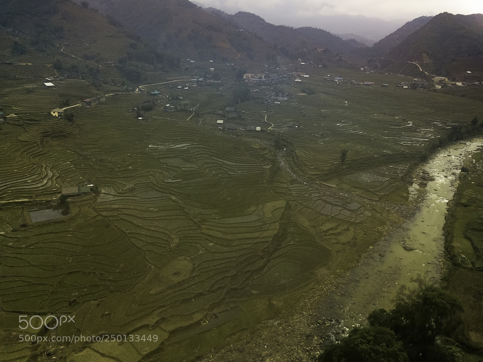 DJI FC220 sample photo. Drone view of rice photography