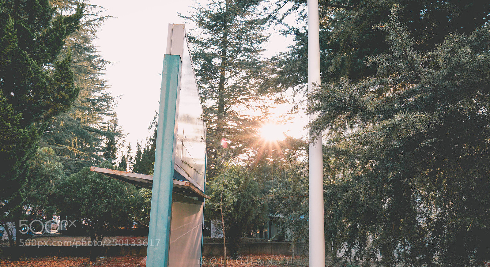 Sony a7R II sample photo. Untitled photography