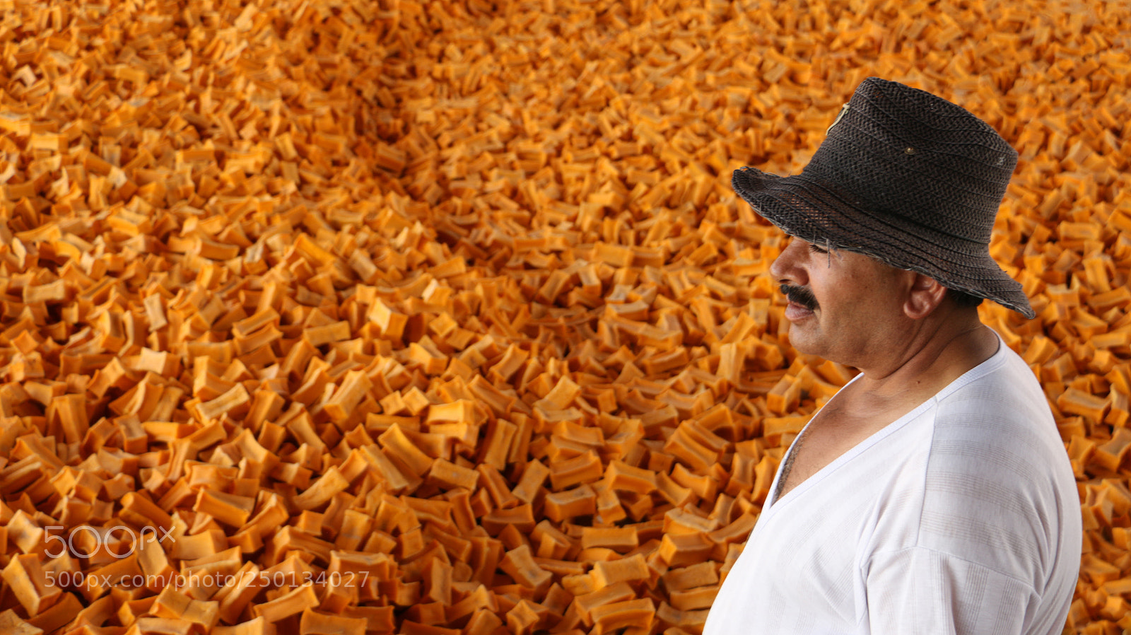 Canon EOS 70D sample photo. Orange photography