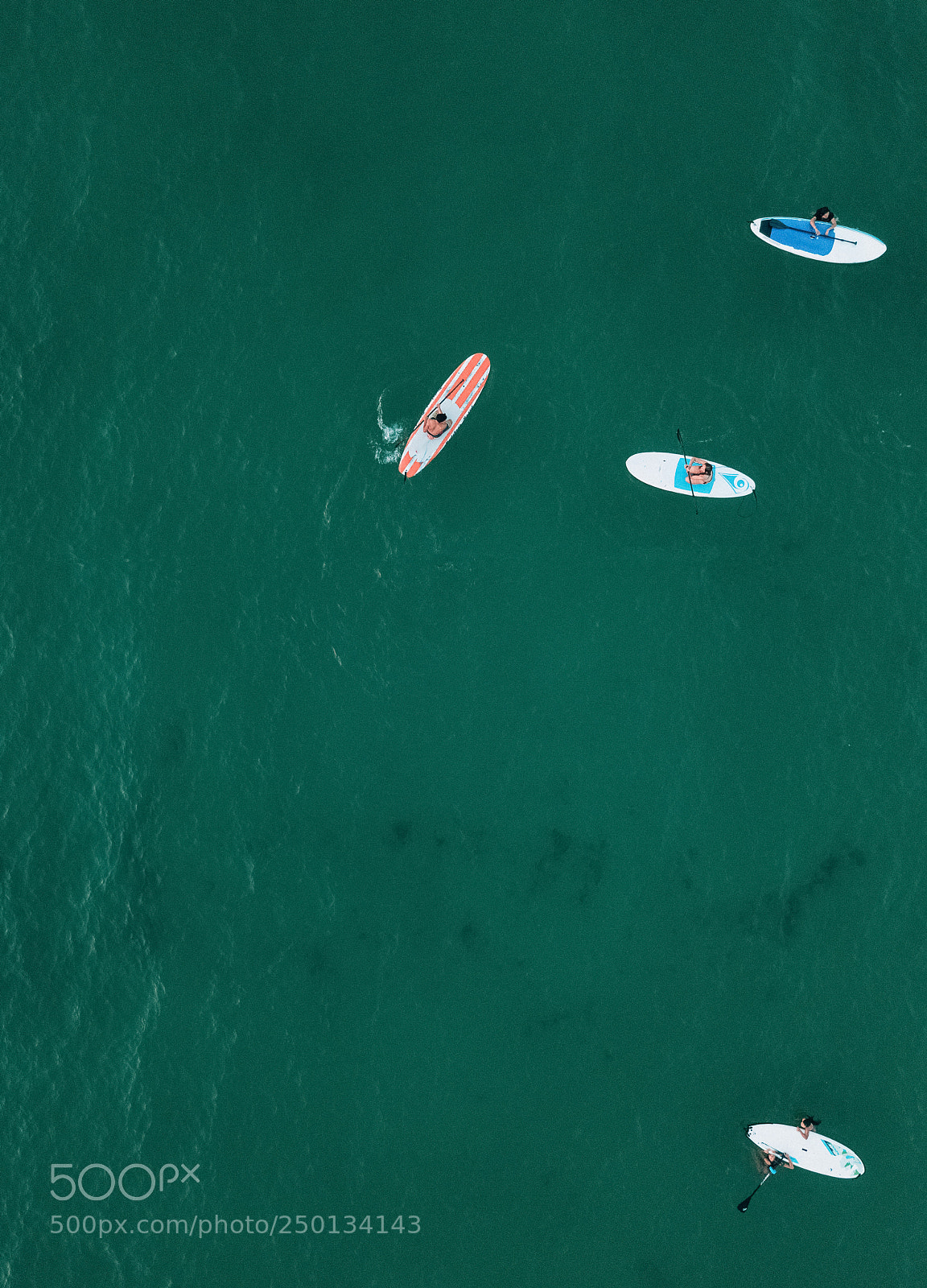 DJI FC220 sample photo. Stand up paddle floating photography