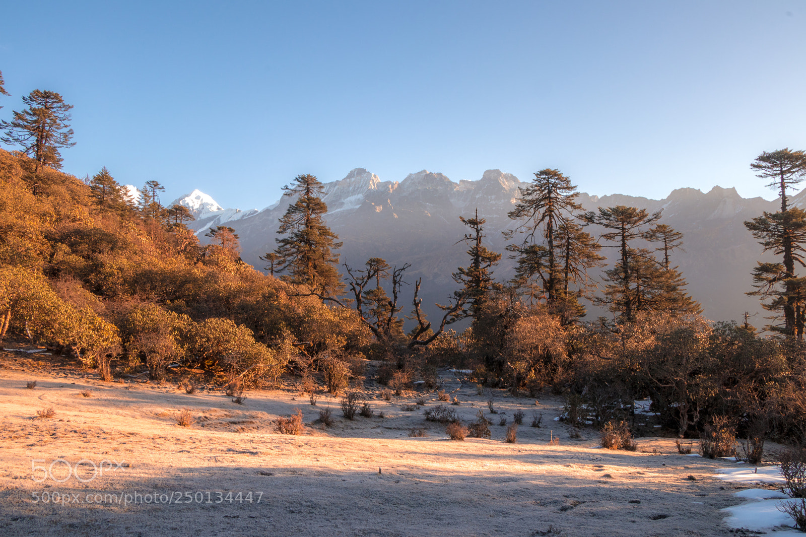 Canon EOS 80D sample photo. Kanchenjunga national photography