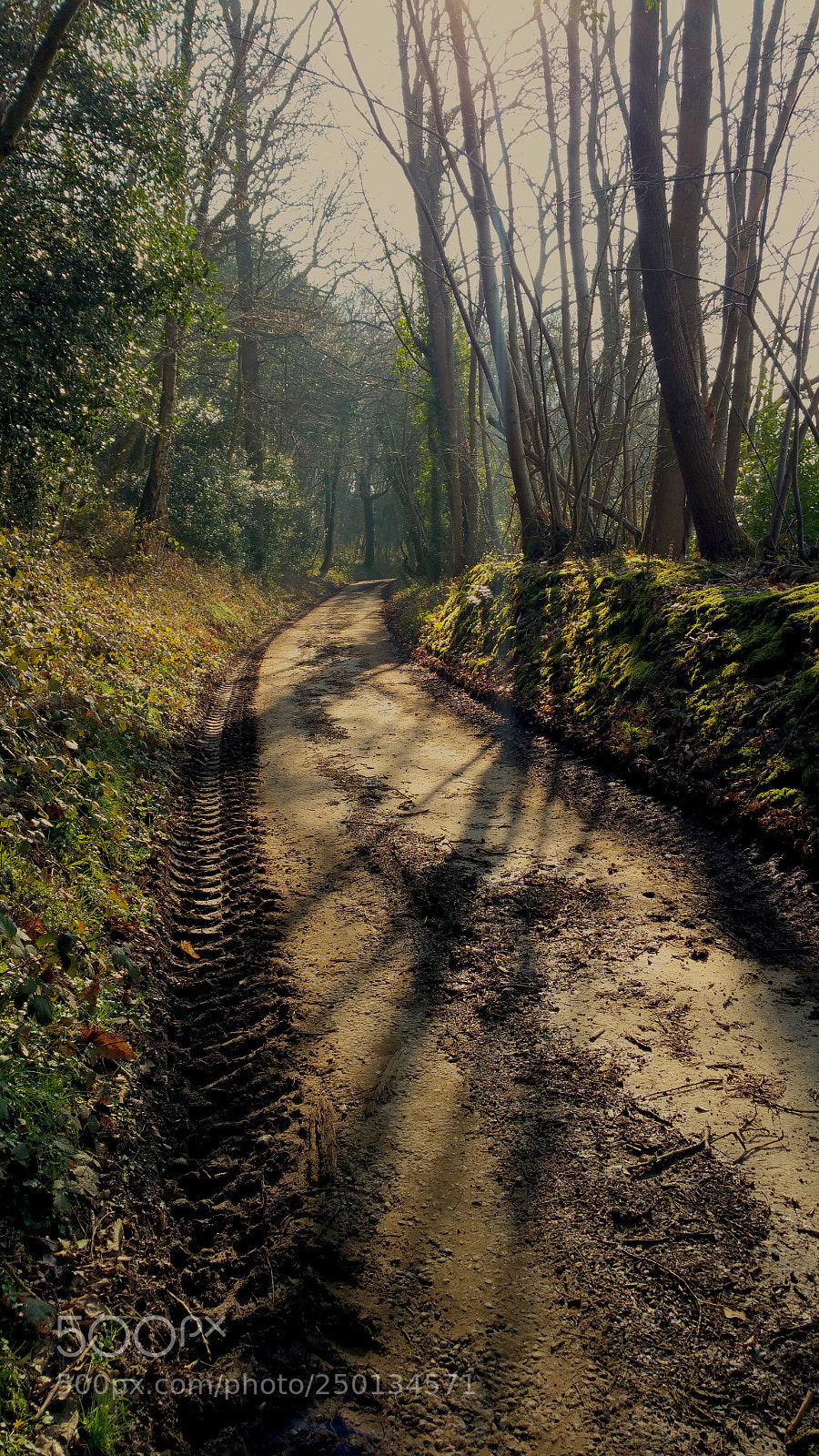 Samsung Galaxy S8+ sample photo. Path photography