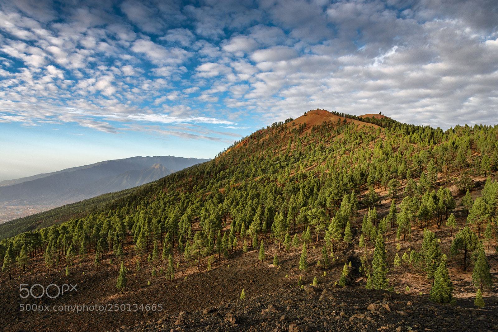Nikon D7200 sample photo. Ruta de los volcanes photography