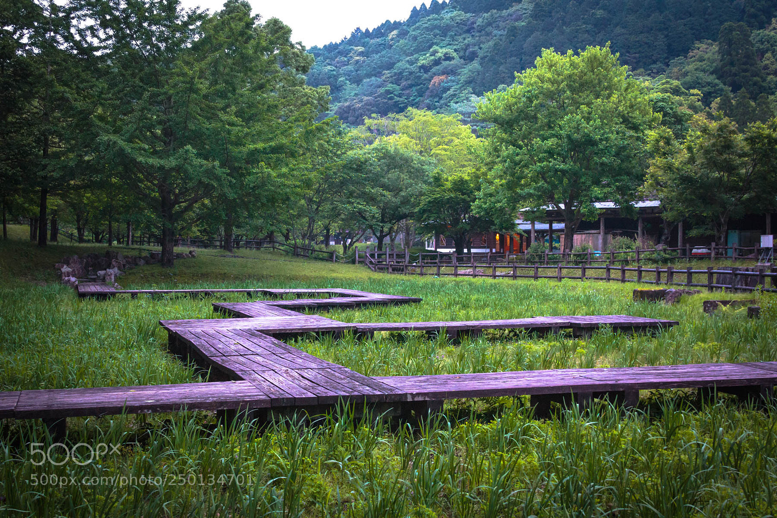 Canon EOS 60D sample photo. Kiyomizu iwaya park, kawanabe photography
