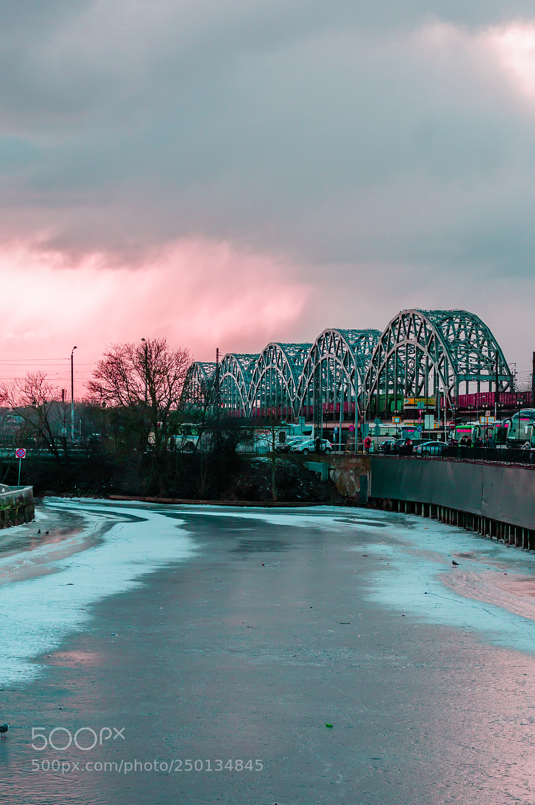 Nikon D300 sample photo. Red bridge photography