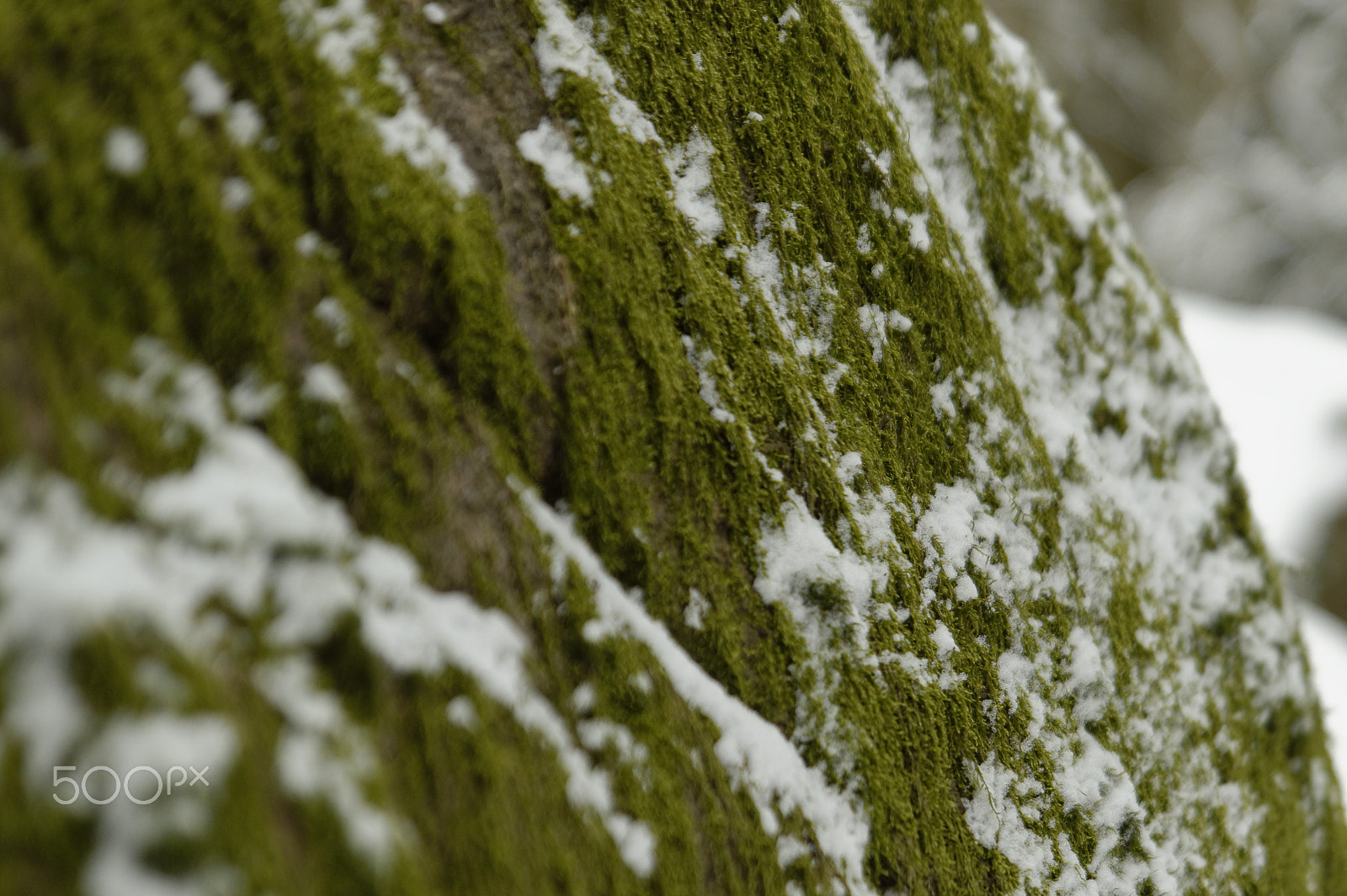 Nikon D3200 sample photo. Mossy cliffs photography