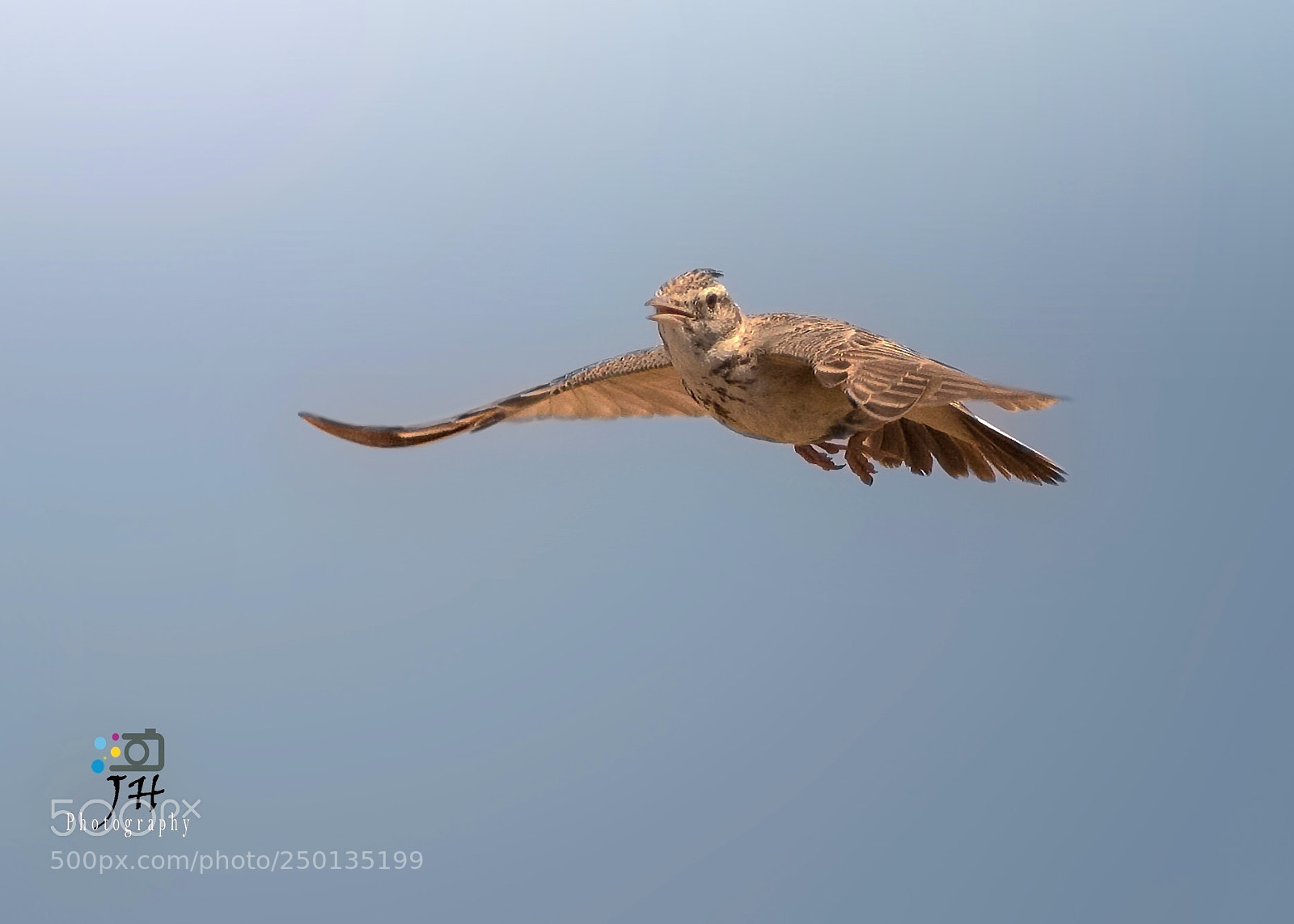 Canon EOS 70D sample photo. Flying beauty photography