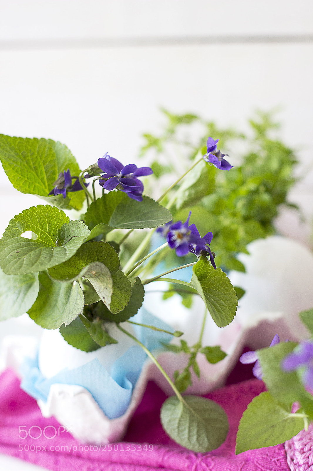 Canon EOS 600D (Rebel EOS T3i / EOS Kiss X5) sample photo. Spring mood photography