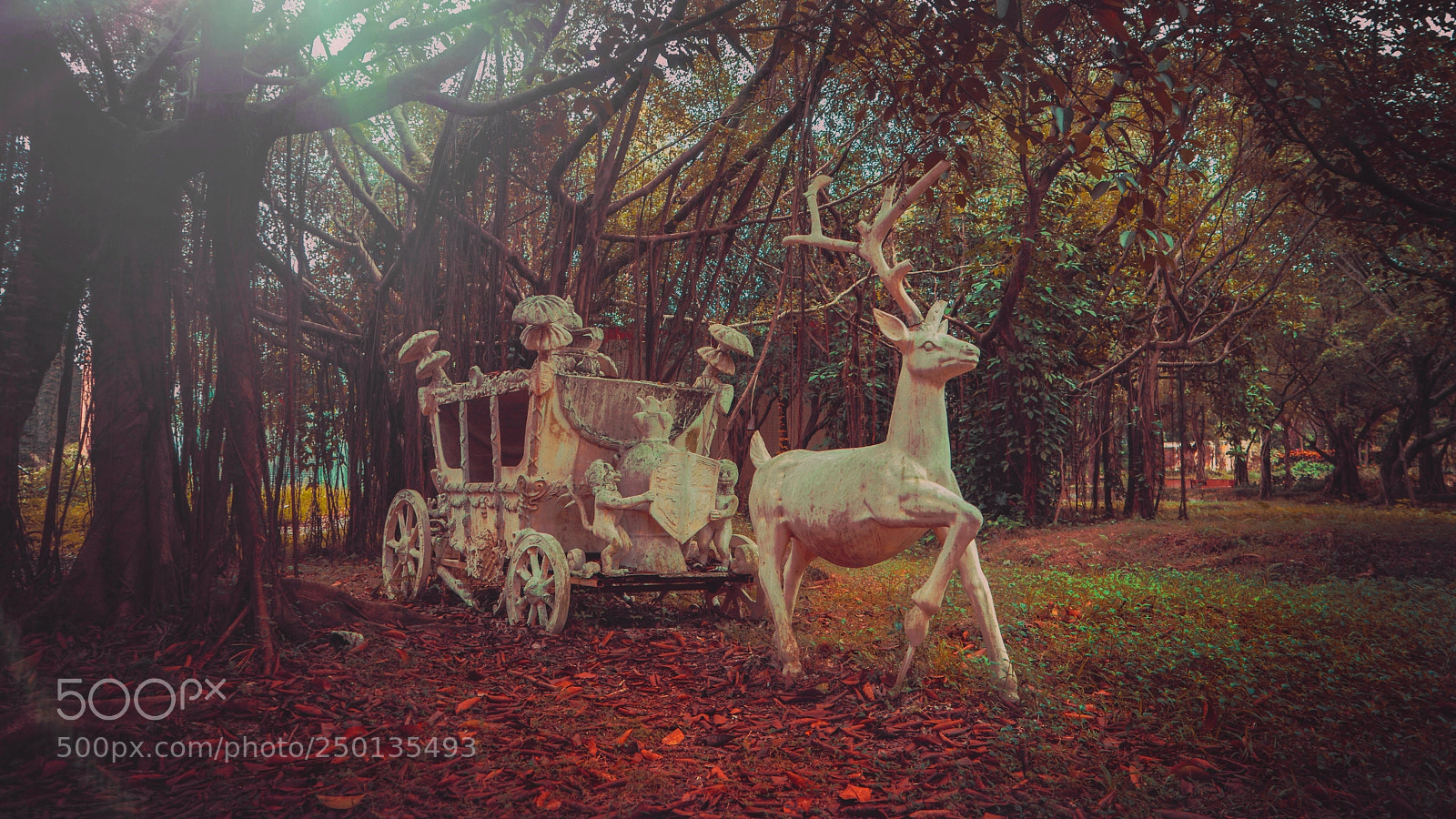 Sony a7 II sample photo. Elven carriage photography