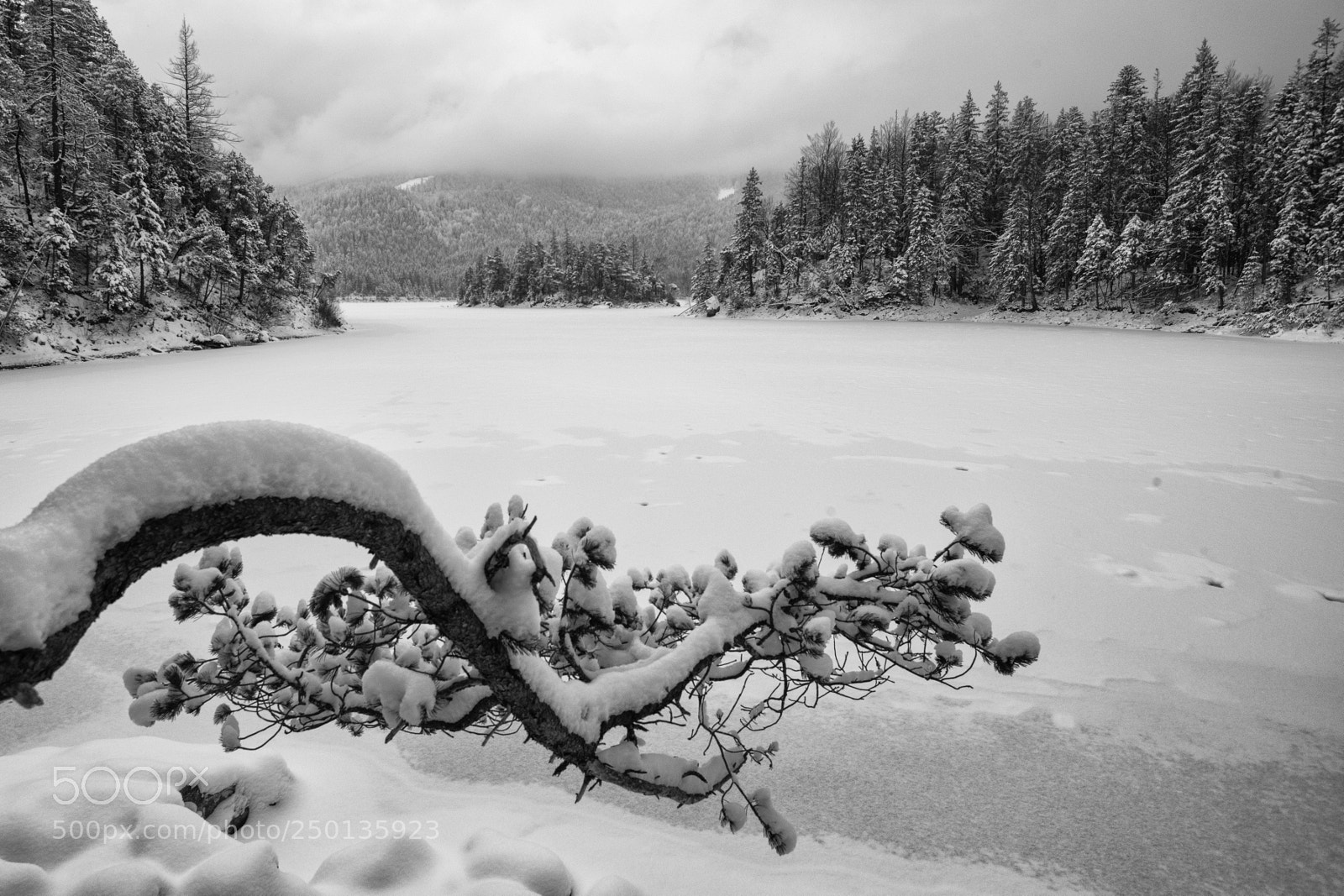 Nikon D850 sample photo. Last days of winter photography