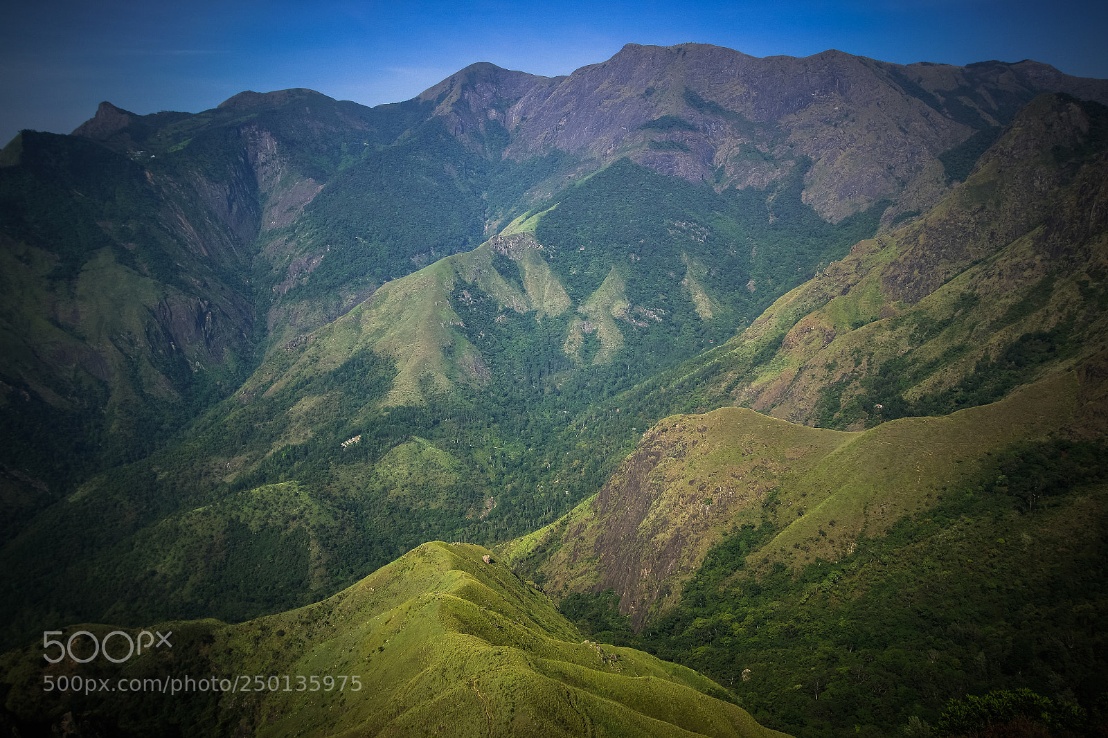 Canon EOS 7D Mark II sample photo. Munnar hills... photography