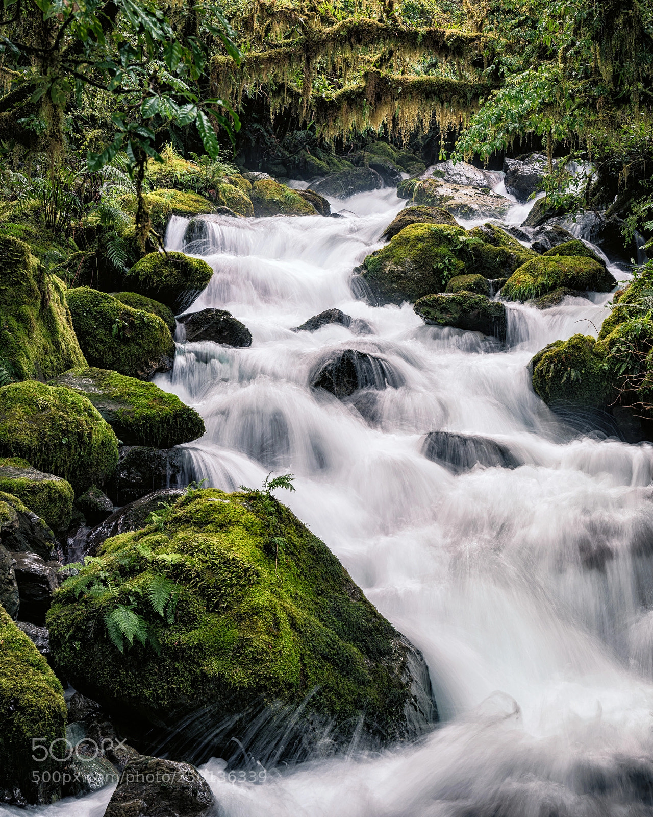Nikon D800 sample photo. Waterfall near milford sound photography